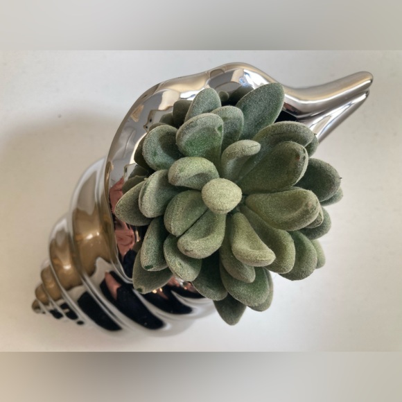 Ceramic Sea Shell Silver - Picture 3 of 5